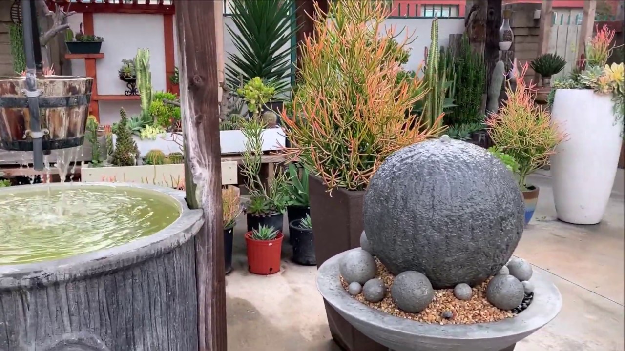Beautiful Succulent Garden Tour 2020