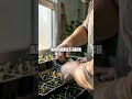 The Tiny Vertical Seed Wall: A Beginner's Indoor Garden Build