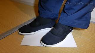 【上履き】黒バレー×和室×画用紙〔MoonStarフレッシュメイト52 〕