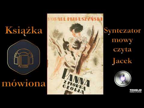 Kornel Makuszyński - Panna z mokrą głową 1932 audiobook cz. 3 / 6