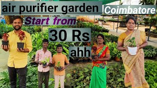 Low price Outdoor and indoor plants in Coimbatore Tamil legacy world