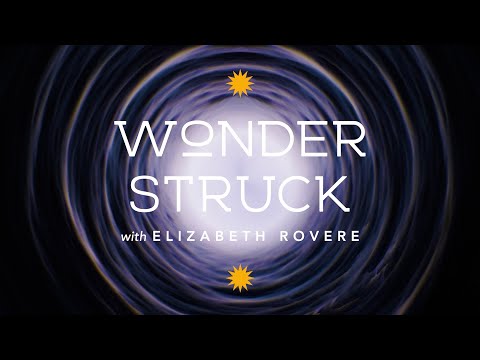 Welcome to Wonderstruck with Elizabeth Rovere