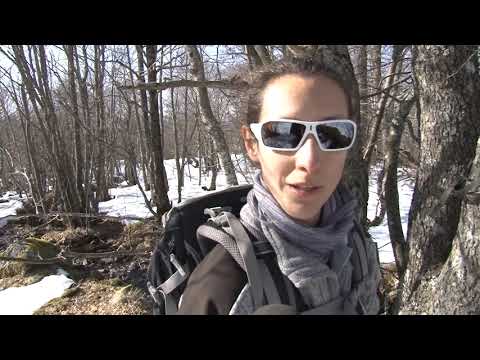 Vidéo: Réserve naturelle de Kazantipsky : un aperçu