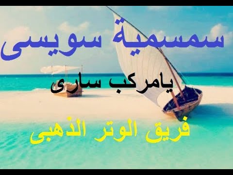 يامركب ساري مع فريق الوتر الذهبي