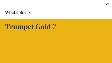 Trumpet Gold color #e9b413 hex color - Yellow color - Cool color e9b413