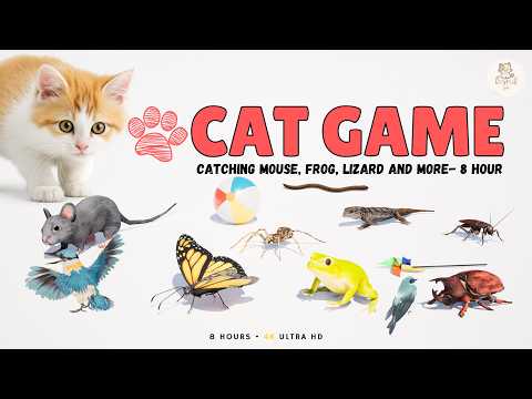 CAT GAMES 🐾 3D Game for Cats to Watch – Ultimate CAT TV | Mice, Birds, Frogs & More! 😻 4K Ultra HD