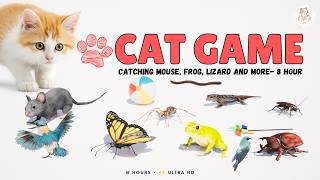 CAT GAMES 🐾 3D Game for Cats to Watch – Ultimate CAT TV | Mice, Birds, Frogs & More! 😻 4K Ultra HD screenshot 5