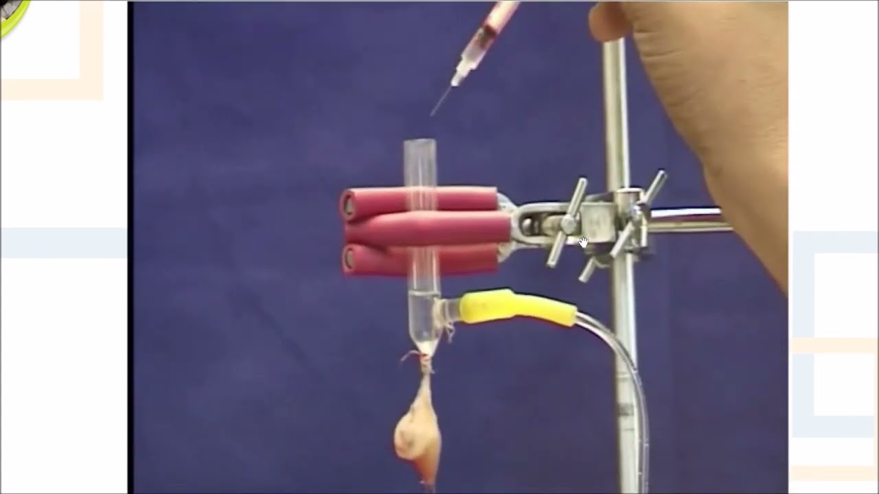 Effect of Adrenaline on Isolated Frog's Heart