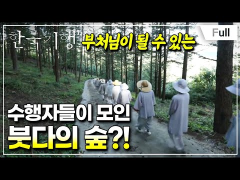 [Full] 한국기행 - 비밀의 숲에 들다 2부 붓다의 숲