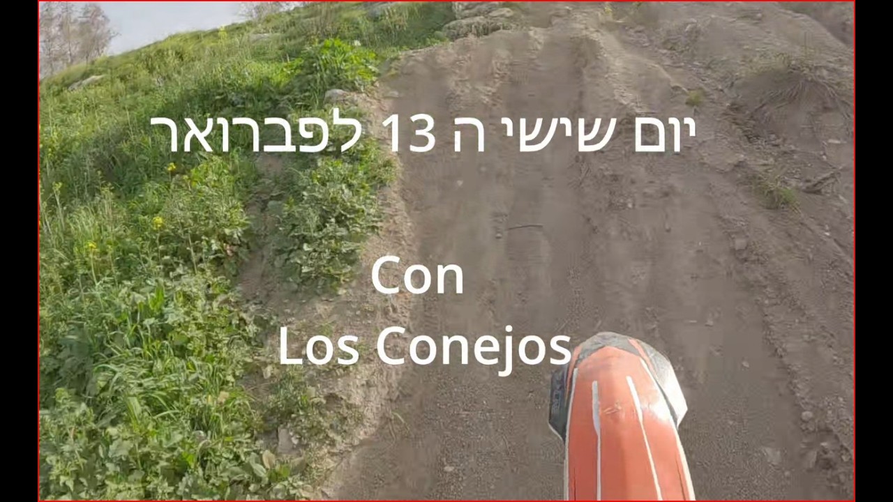 יום שישי ה13.2.26 לטרון