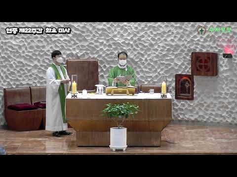 영상썸네일