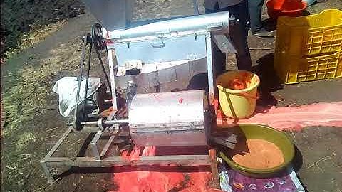 Tomato juice machine