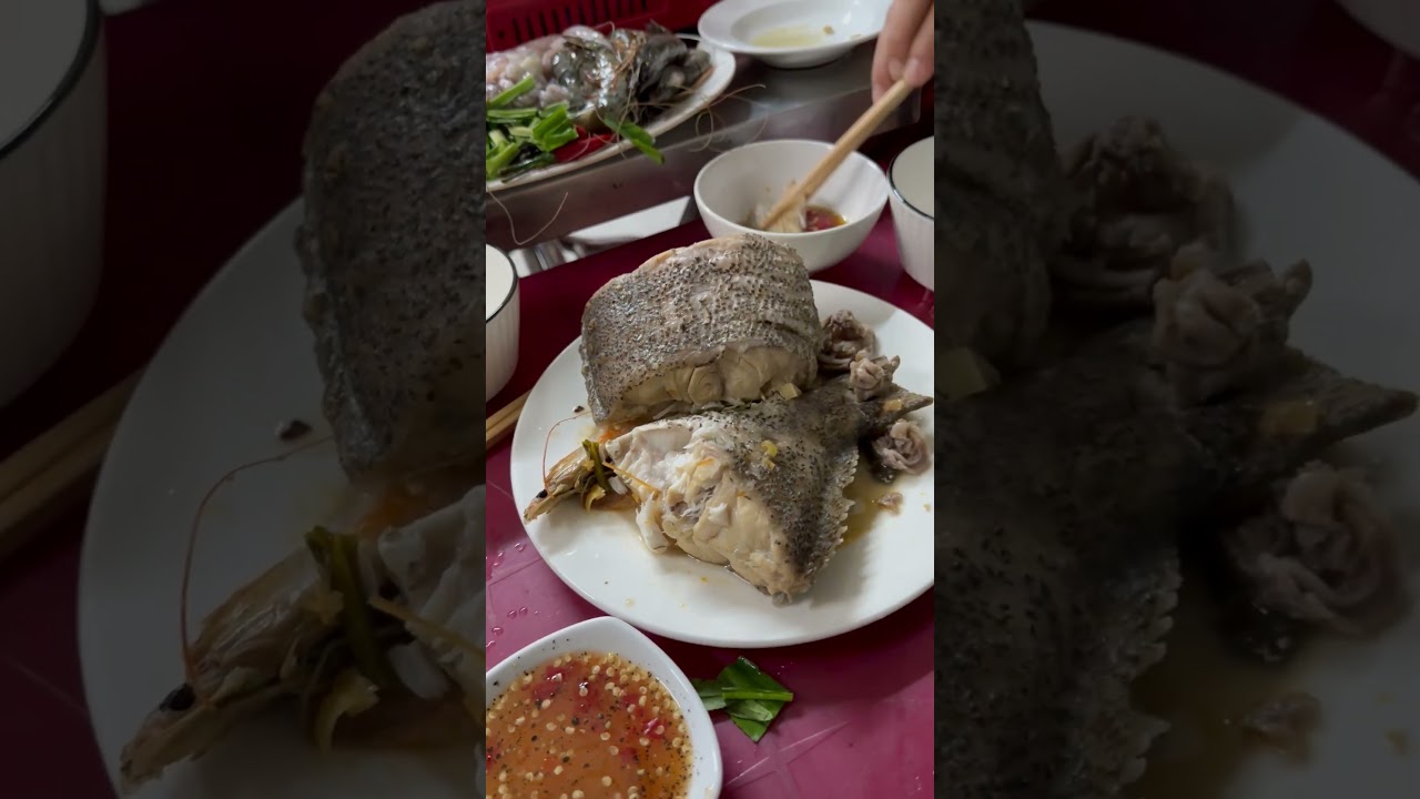 3 khả năng người biển tự tin nhất lên gặp ba mẹ vợ #ductrainghiem #phuquocisland #fishing