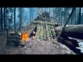 Built a shelter at the root of a huge tree secret refuge in the old forest camping in the wildlife