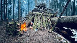 BUILT A SHELTER AT THE ROOT OF A HUGE TREE. SECRET REFUGE IN THE OLD FOREST. CAMPING IN THE WILDLIFE