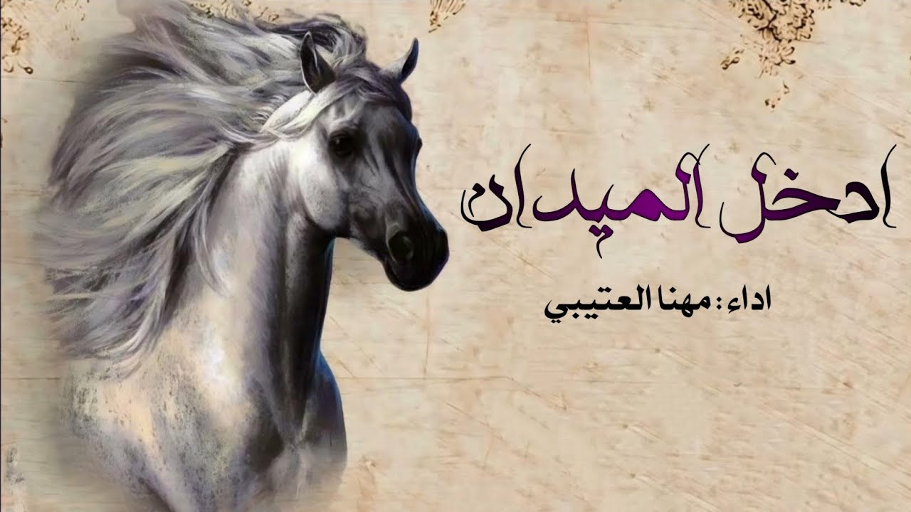 مهنا العتيبي شيلة حماسية🔥_ 2024_ ادخل الميدان - حماسية تشوش - مهنا العتيبي