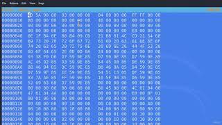Hexeditor & Antiviruses🕵🏼Gaining Access (Viruses, Trojans, Payloads ...)8.5