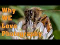 Why We Love Photography
