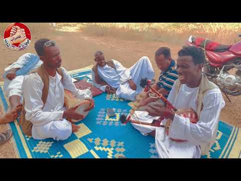 Tigre Music Ibrahim Nory ابراهيم نوراي شوكي 