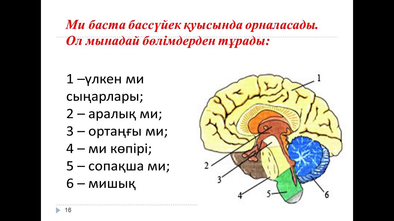 Психика шайқасының жалаңаш қатысушысы