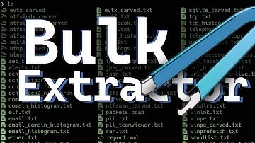 ¿CÓMO extraer INFORMACIÓN de un ARCHIVO? | BULK EXTRACTOR