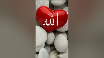 سورة المؤمنين #foryou #funny