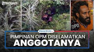 Pimpinan Opm Diselamatkan Anggotanya Usai Ditembak Satgas Odc