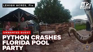 Python at the pool: Florida deputy wrangles snake in viral rescue video
