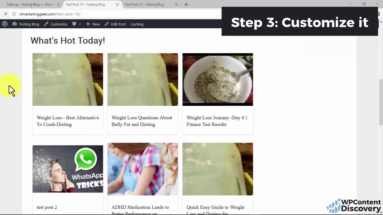WP Content Discovery Demo || WP Content Discovery Review