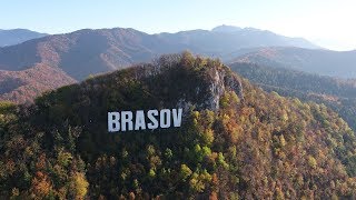 Whilewild - The Time Stops For A While