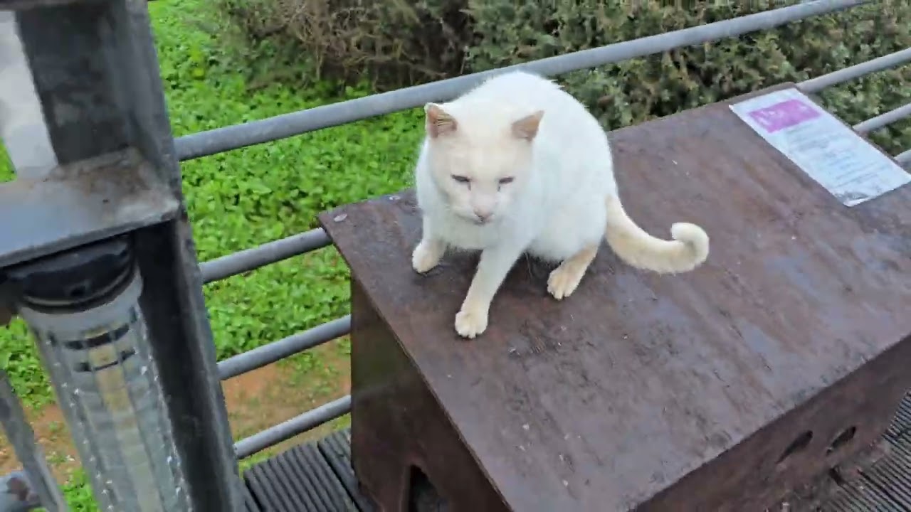 AlbufeiraCity in Portugal