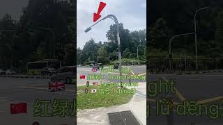 🇬🇧🇨🇳🇲🇾🇯🇵 Learn 3 Words from Real Life: Traffic Light, Tree & Elevator