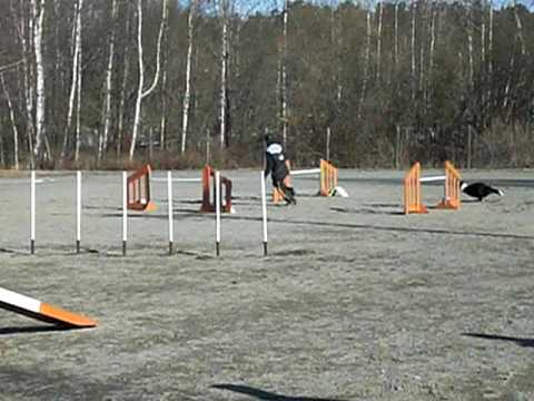 58 E HKK 26 4 2009 C