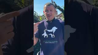 Probamos un Collar Eléctrico para Perros y esto es lo que se siente 