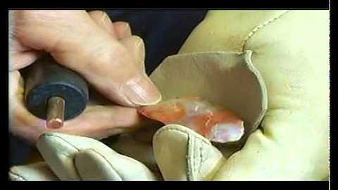 Birdpoint 1 - part 1.mpg