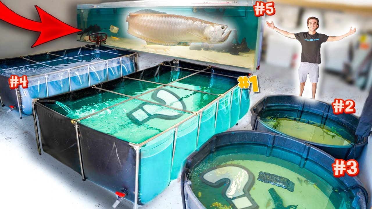 TURNING MY GARAGE Into The ULTIMATE FISH AQUARIUM WAREHOUSE! YouTube