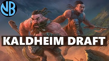 KALDHEIM DRAFT!!! SUIT 