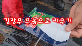 김장무우 파종시기➡️  한랭사를 이용해 해충방제 ,무농으로 김장무 키우는 방법 ➡️김장무 솎음✔ 김장무심는시기