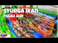 SYURGA Ikan Pulau Aur - Boat Tuna Biru Dayang - Geng Ngail Melaka Vol 3 (Akhir)