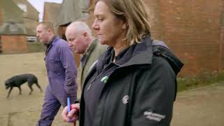 What Should You Expect from a Farm Inspection?
