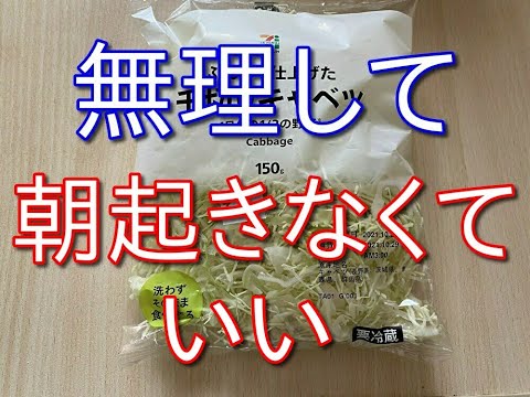 引きこもりの人は無理して朝起きなくていい【ただ夜は寝よう】