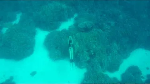 Freediving Julia Wheeler - Testing The Waters Hawaii