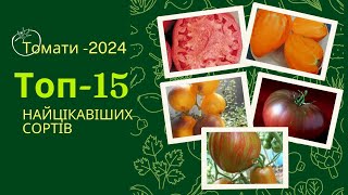 Топ-15 сортів томатів на 2024 рік