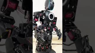 3D Printed Robot: A Masterpiece of STEM and Coding