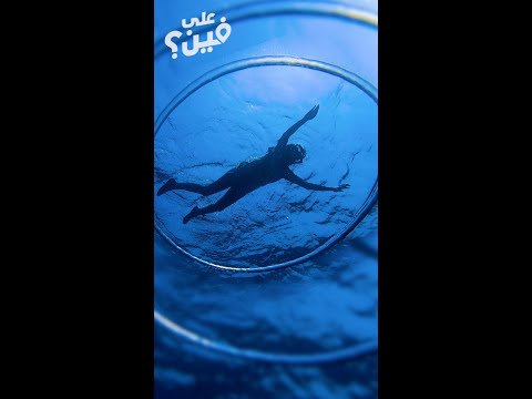 لمحة من جمال البحر الأحمر وتفاصيله الخل ابة