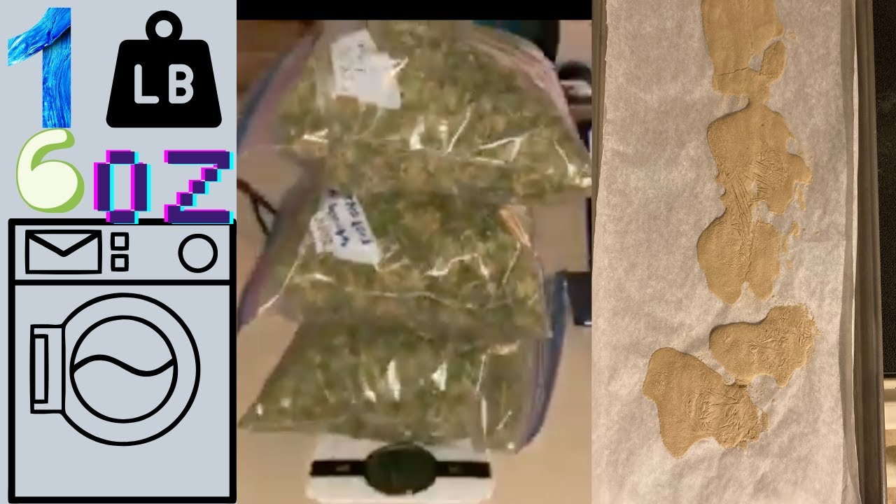 1lb 6 oz ice water hash run-lemonmintz/mix trim