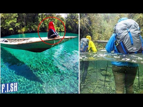 Video: 10 parqet më të mira të Maui-t