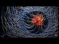 Why Fighting Toxic People is a Mathematical Failure | The Chimera State