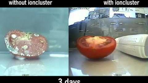 tomato.wmv