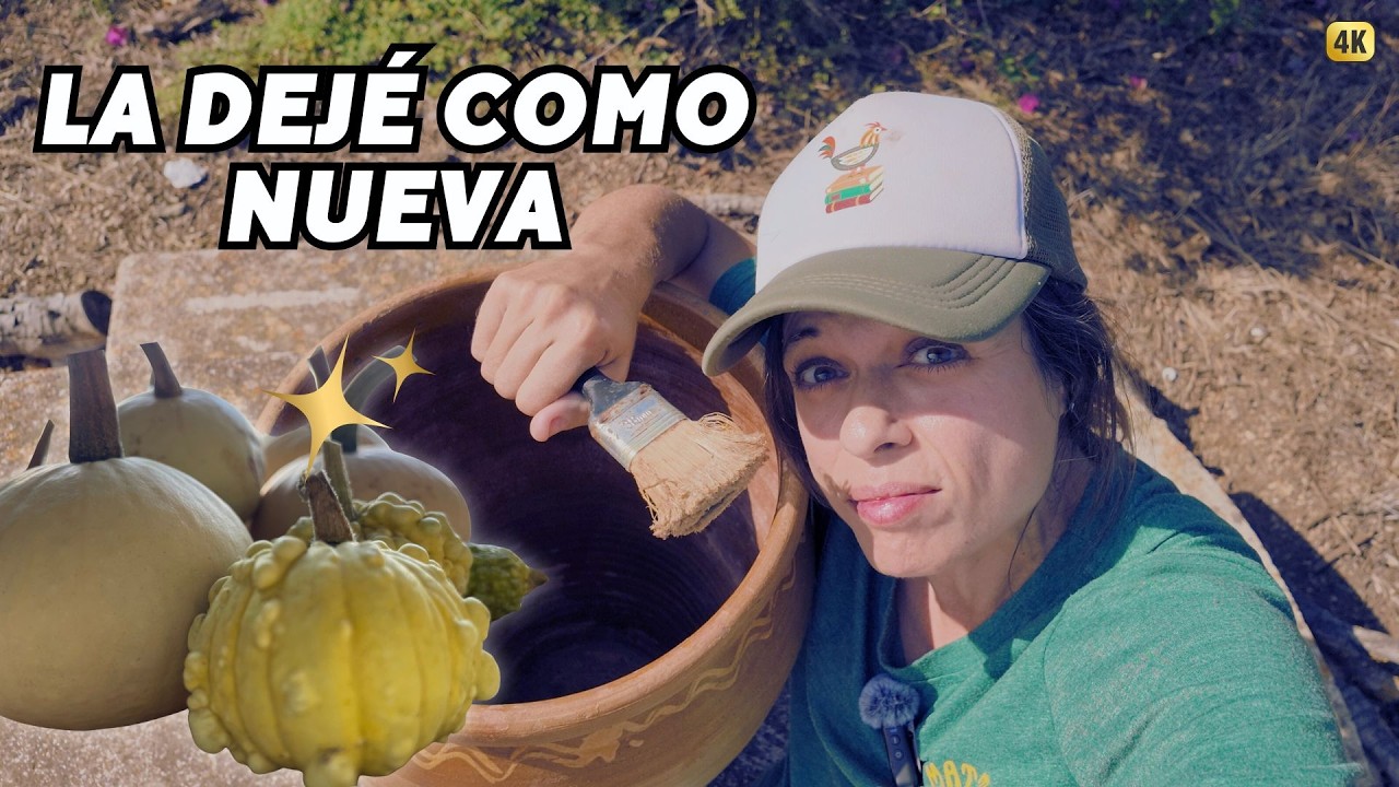 TRANSFORMÓ la tinaja de barro encontrada en la finca y cosecho las extrañas CALABAZAS. Vlog259